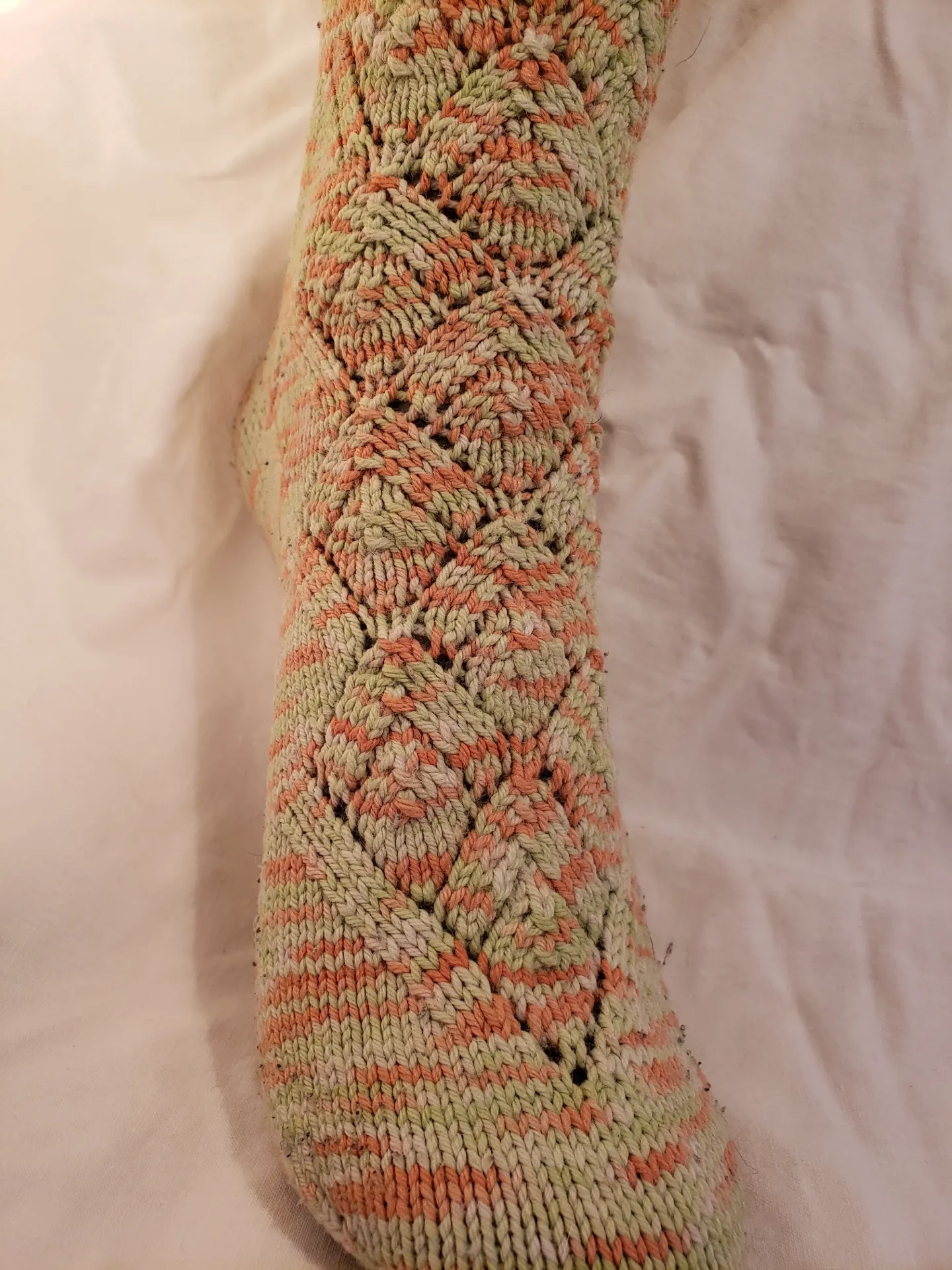 Triffids Socks