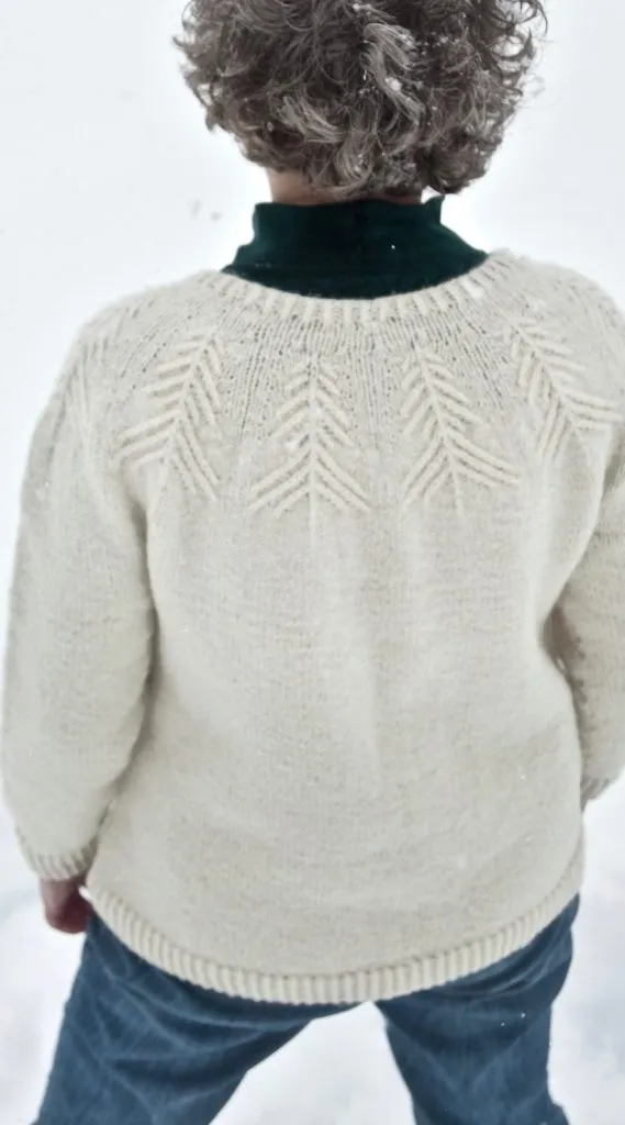 Winter Woods Pullover Pattern